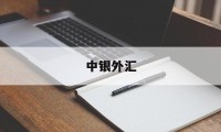 中银外汇(中银外汇牌价实时汇率查询)