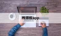 所得税app(怎样下载个人所得税app)