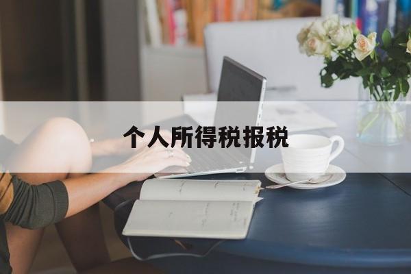 个人所得税报税(个人所得税报税系统)