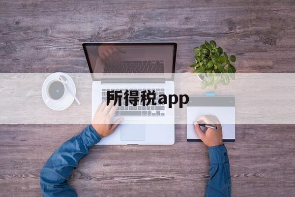 所得税app(怎样下载个人所得税app)